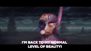 beauty level GIF by Adult Swim
