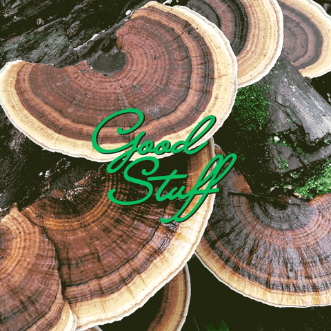 GIF by Good Stuff