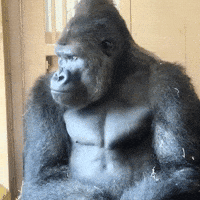Sad Bad Day GIF