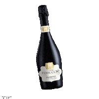 Pinot_Company celebration toast vino prosecco Sticker