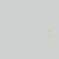 GIF by Boopy Club