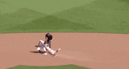 Texas Am Baseball GIF by NCAA Championships