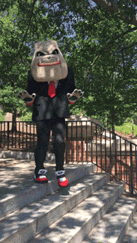 happy dance GIF by University of Georgia