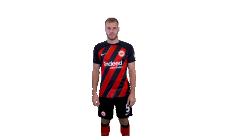 Sticker by Eintracht Frankfurt