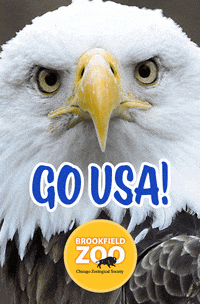 Team Usa GIF by Brookfield Zoo