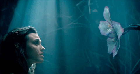1x04 GIF