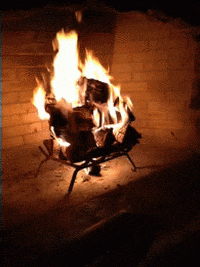 ca GIF