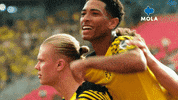 Marco Reus Reaction GIF by MolaTV