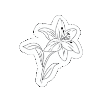 Mothers Day Flower Sticker by PIGEON Singapore