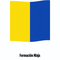 Castilla Y Leon Bandera GIF by Formación Ninja