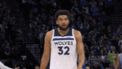 Nba Playoffs Sport GIF by NBA