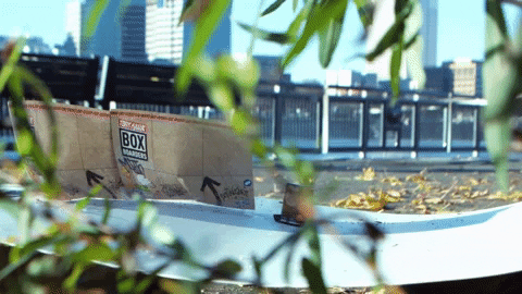 tony hawk skate GIF by Hog Wild Toys