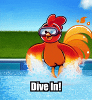 Summer Swimming GIF by Zorooster