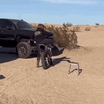 thepracticaldollface  GIF