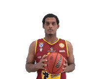 Sport Basketball Sticker by Basket_fi