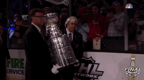 ice hockey sport GIF by NHL
