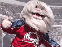 Colorado Avalanche Nhl GIF
