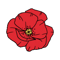 Remembrance Day Cat Sticker