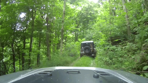 HobbyTrap giphygifmaker GIF