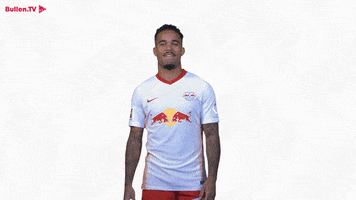 Dust Off Champions League GIF by RB Leipzig