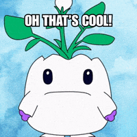 Shocked No Way GIF by Magic Eden