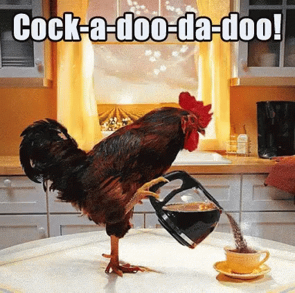Video gif. A rooster pours hot coffee into a mug at the breakfast table. Curtains blow around an open window in the background. Text, "Cock-a-doodle-do."