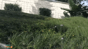 Arco Iris Rainbow GIF by jorgemariozuleta