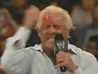 ric flair GIF