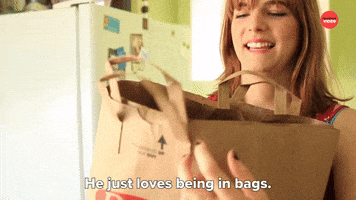 He Loves Being In Bags