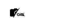 GiBi-Media marketing social media photography camera Sticker
