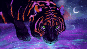 Snow Tiger GIF