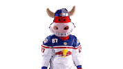 Rob Ice Hockey Sticker by EC Red Bull Salzburg