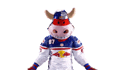 Rob Ice Hockey Sticker by EC Red Bull Salzburg