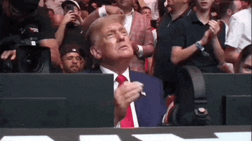 Donald Trump Sport GIF by UFC