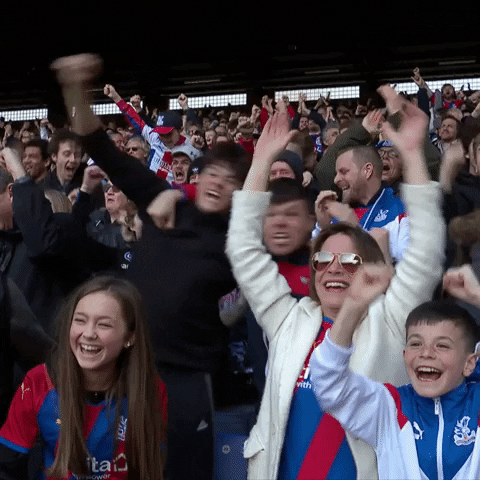 Premier League Yes GIF by Crystal Palace Football Club