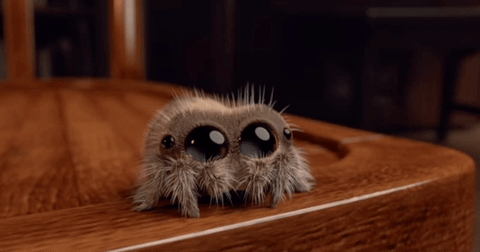 youtube animation GIF