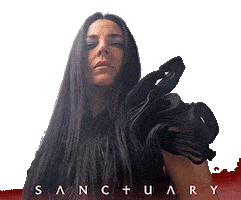 Amy Lee Sanctuary Sticker