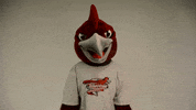 Rcnj Ramapocollege GIF by Ramapo College of New Jersey