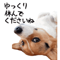 Corgi Milo Sticker