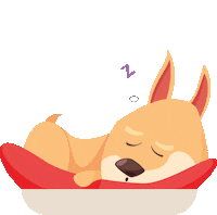 Cat Dog Sticker by Petlebi
