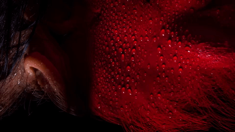 sevdaliza GIF