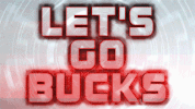 Gobucks GIF by Ohio State Athletics