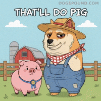 Happy Shiba Inu GIF by Doge Pound