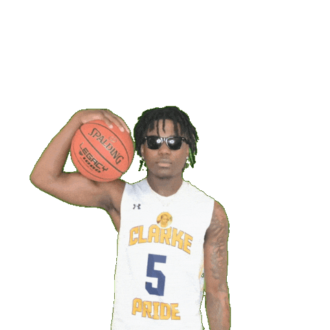 Mens Basketball Sticker by Clarke University