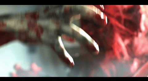 GIF by Rock On Go Wild