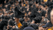College Sports Sport GIF by WVU Sports