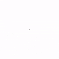 Dallas Cowboys GIF by WFAA