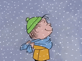 charlie brown snowing GIF by Peanuts