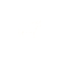 Bife Sticker by almacendelbife