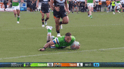 Nrl GIF by Canberra Raiders
